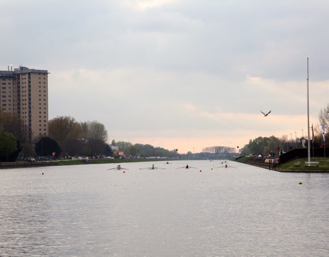 Internationale roeiregatta voor 200 jaar UGent