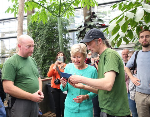 Bloei reuzenaronskelk in Plantentuin