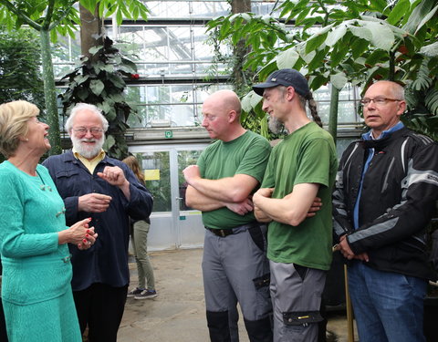 Bloei reuzenaronskelk in Plantentuin