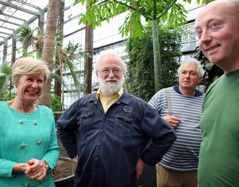 Bloei reuzenaronskelk in Plantentuin