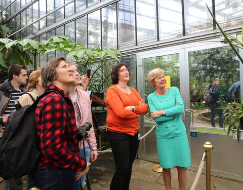 Bloei reuzenaronskelk in Plantentuin