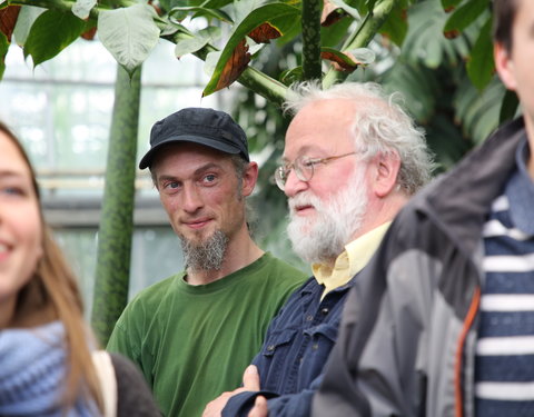 Bloei reuzenaronskelk in Plantentuin