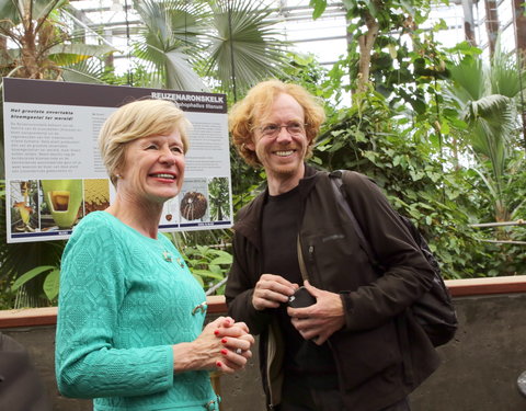 Bloei reuzenaronskelk in Plantentuin