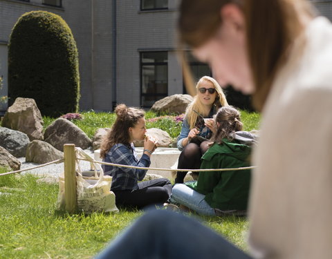 Faculteit Letteren en Wijsbegeerte