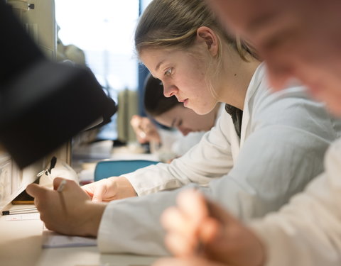 Faculteit Bio-ingenieurswetenschappen