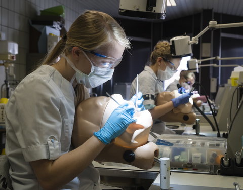 Faculteit Geneeskunde en Gezondheidswetenschappen