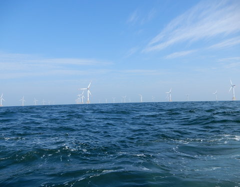 Bezoek Raad van Bestuur aan windmolenpark en Campus Oostende