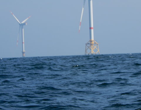 Bezoek Raad van Bestuur aan windmolenpark en Campus Oostende