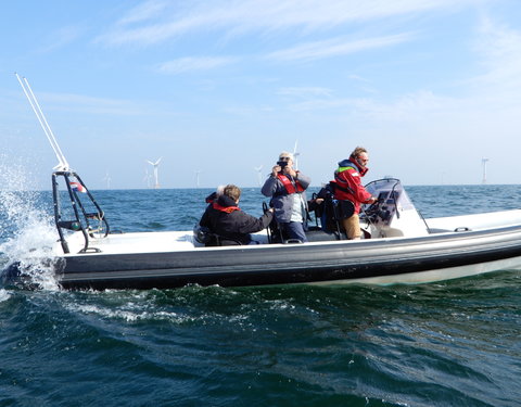 Bezoek Raad van Bestuur aan windmolenpark en Campus Oostende