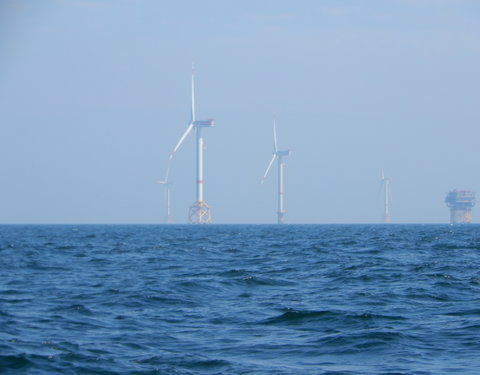 Bezoek Raad van Bestuur aan windmolenpark en Campus Oostende