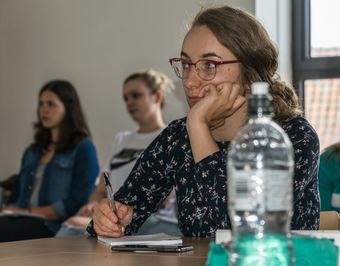 Zomercursus Nederlands