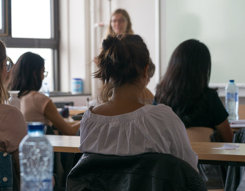 Zomercursus Nederlands