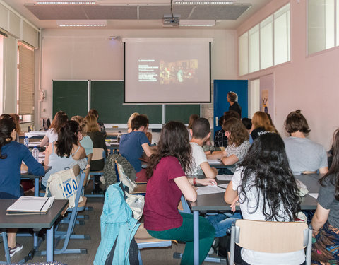 Zomercursus Nederlands