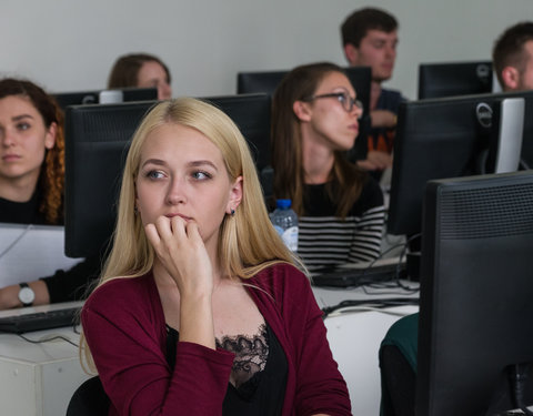 Zomercursus Nederlands