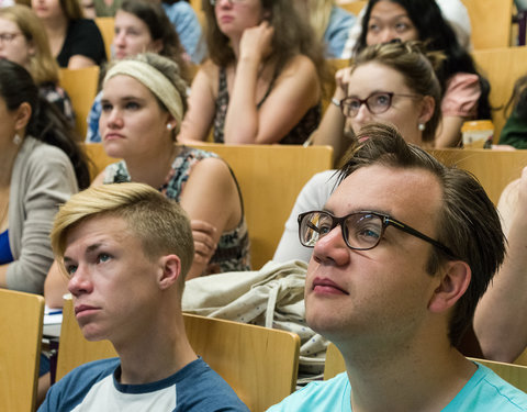 Zomercursus Nederlands