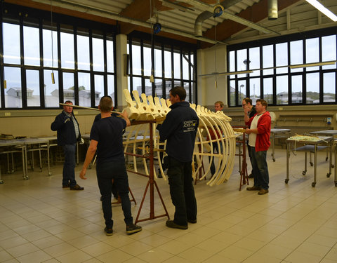 Transport skelet vinvis van faculteit Diergeneeskunde naar Sint-Baafskathedraal in kader van tentoonstelling Out of the Box