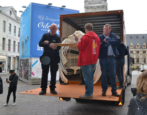 Transport skelet vinvis van faculteit Diergeneeskunde naar Sint-Baafskathedraal in kader van tentoonstelling Out of the Box