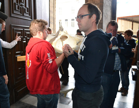 Transport skelet vinvis van faculteit Diergeneeskunde naar Sint-Baafskathedraal in kader van tentoonstelling Out of the Box