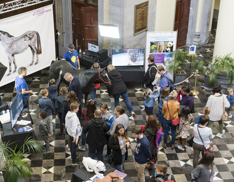 Iedereen UGent!: Campus Aula, Het Pand, Stadshal en Sint-Baafskathedraal