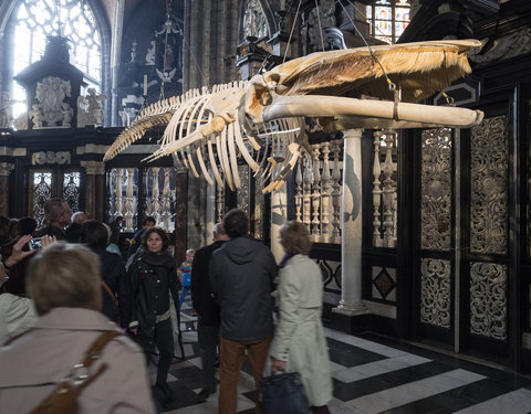 Iedereen UGent! in de Sint-Baafskathedraal