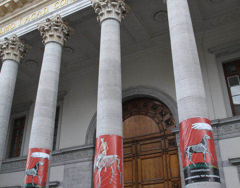 Tentoonstelling 'Van paardenmiddel tot paardendokter'-8777