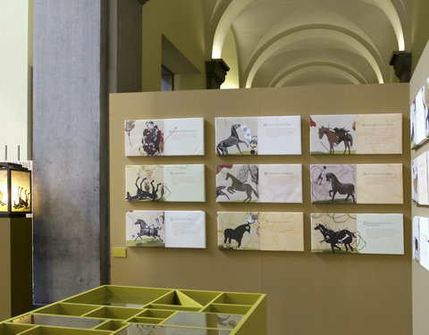 Tentoonstelling 'Van paardenmiddel tot paardendokter'-8786