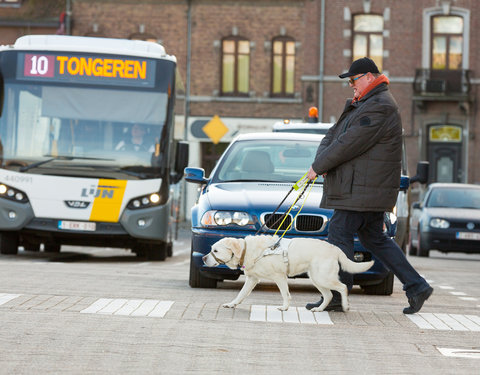 Organisatie fokprogramma voor blindengeleidehonden