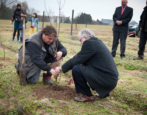 Aanplanten van laatste bomen van het eerste UGent-bos, een initiatief van het UGent1010-team (studentenorganisatie die de ecolog