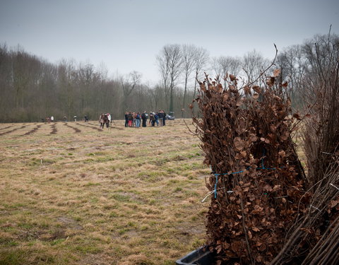 Aanplanten van laatste bomen van het eerste UGent-bos, een initiatief van het UGent1010-team (studentenorganisatie die de ecolog