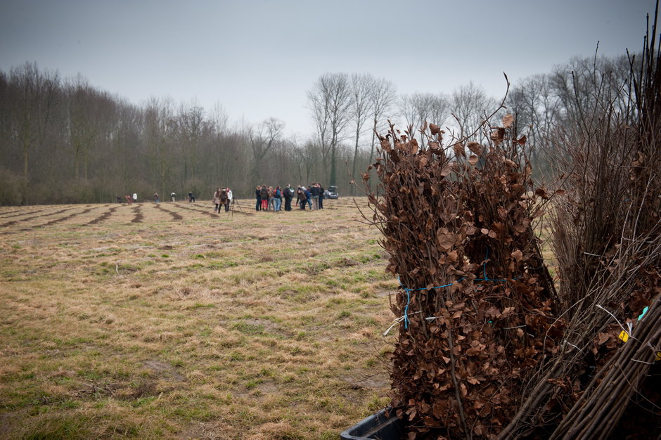 Transitie UGent