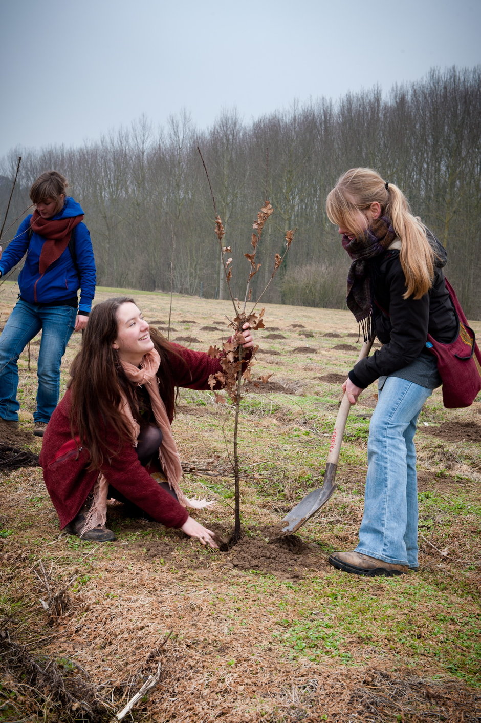 Transitie UGent