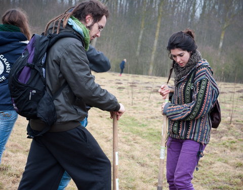 Aanplanten van laatste bomen van het eerste UGent-bos, een initiatief van het UGent1010-team (studentenorganisatie die de ecolog