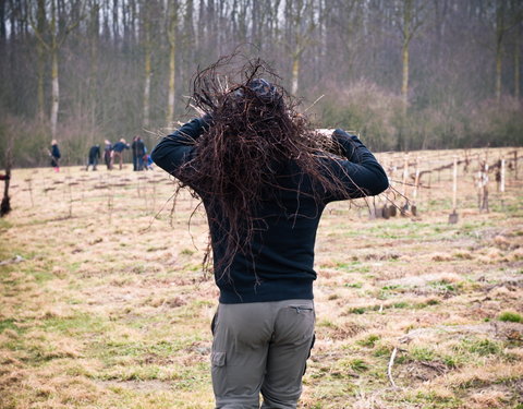 Aanplanten van laatste bomen van het eerste UGent-bos, een initiatief van het UGent1010-team (studentenorganisatie die de ecolog