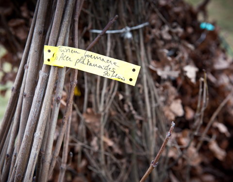 Aanplanten van laatste bomen van het eerste UGent-bos, een initiatief van het UGent1010-team (studentenorganisatie die de ecolog