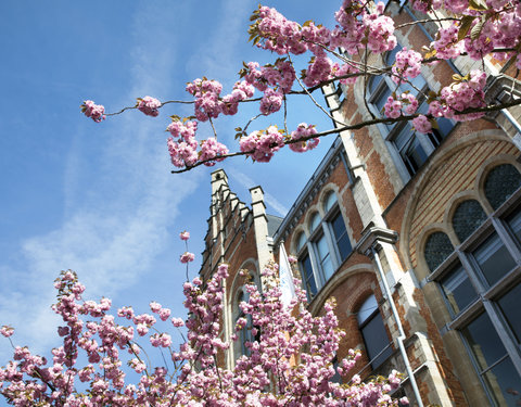 Campus Rommelaere